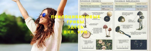 ECSTASY Краснослободск