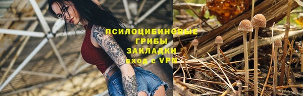 a pvp Корсаков